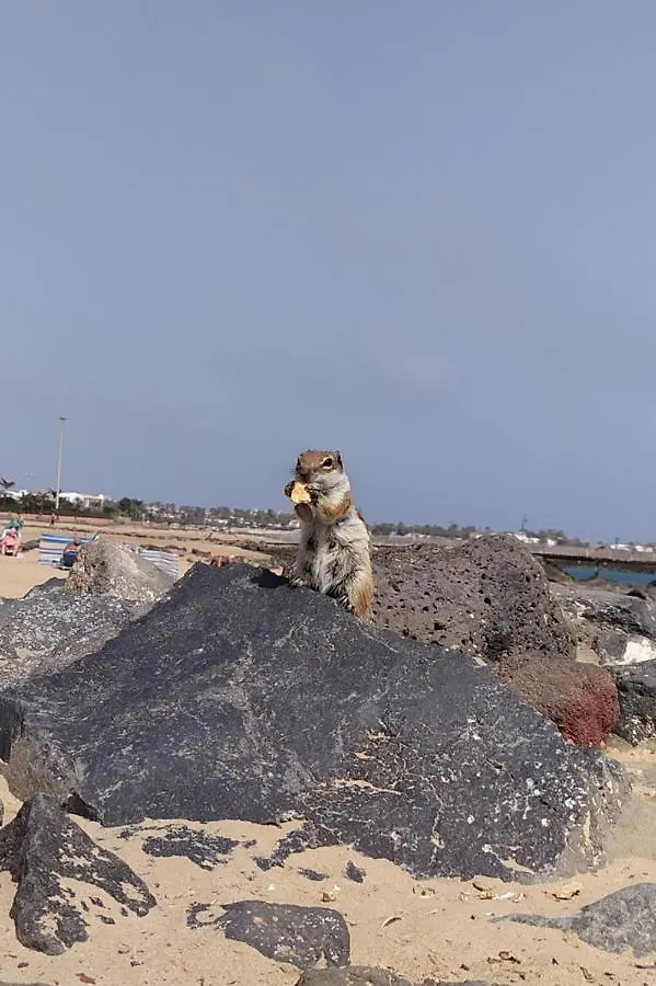 Διαμέρισμα Holiday Rent Fuerteventura Costa De Antigua Ισπανία